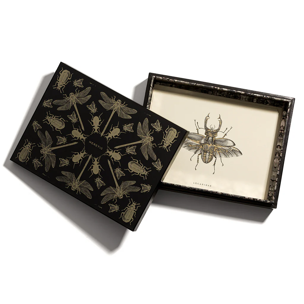 ENTOMOLOGIST CORRESPONDENCE SET